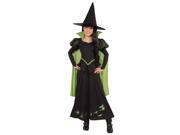 The Wizard Of Oz Wicked Witch Of The West Costume Child Medium