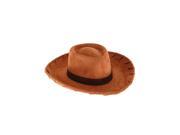 Toy Story Deluxe Woody Hat Adult