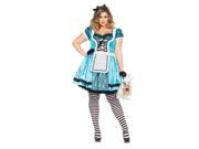 Plus Size Looking Glass Alice Costume