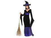 Women s Glamorous Witch Costume