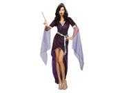 Women s Sorcery Seduction Costume