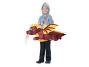 Child Ride a Dragon Costume