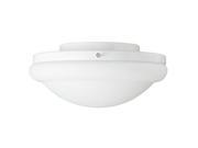 99159 Low Profile White Frosted Glass Light Kit