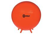 Champion Sports Fitpro Ball With Legs 75cm Red