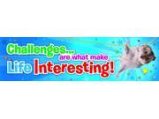 Eureka Jumbo Banner Challenges Are What Makes Life Interesting 17 x 72 Inches 849457