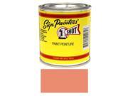 1 2 Pint 1 Shot CORAL Paint Lettering Enamel Pinstriping Graphic Art