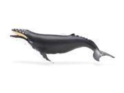 Wild Safari Sealife Humpback Whale