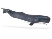 Wild Safari Sealife Sperm Whale Adult