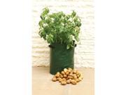 Bosmere P575 Potato Deck Patio Grow Planter Bag