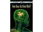 NOVA scienceNOW How Does the Brain Work?