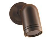 THOMAS BETTS 580005 580005 WALL SPOT LIGHT WITH COVER BRONZE