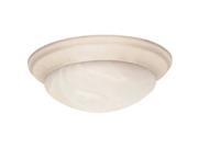 SATCO PRODUCTS 102555 102555 FLUSH MOUNT 2 LT 14IN WHITE