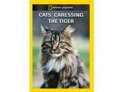 Cats Caressing The Tiger DVD 5