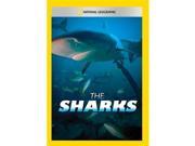 The Sharks DVD 5