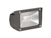 Luminance 10 watt LED Outdoor Flood Light F7390 66 Clear Glass Lens