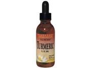 Planetary Herbals Ayurvedics Full Spectrum Turmeric 4 fl oz