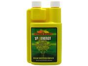 1st Step for Energy Liquid Multivitamin Mineral Citrus Burst 16 fl oz 1 pt 473 ml