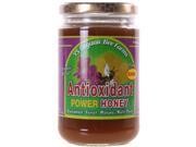Y.S. Organic Bee Farms Antioxidant Power Honey 13.5 oz