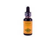Mullein Extract Herb Pharm 1 oz Liquid