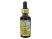 Echinacea Goldenseal Extract Organic Alcohol Nature s Answer 1 oz Liquid