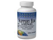 Planetary Herbals Slippery Elm Lozenges 150 mg Strawberry 100 Lozenges