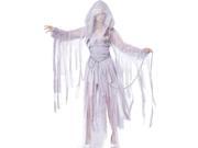Haunting Beauty Ghost Costume