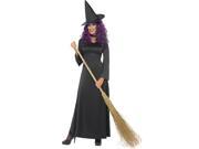 Wicked OZ Witch Costume