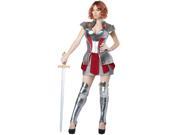 Joan Of Arc The Maid Of Orleans Knight Adult Halloween Costume