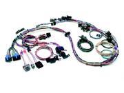 Painless 60202 Tuned Port Injection Harness extra long
