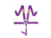 Racequip 711051 L L 5PT Harness Set Purple