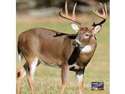 American Whitetail Infinity Target Face Deer 32X32