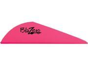 Bohning Blazer Vanes 2 Hot Pink