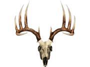 Mossy Oak Graphics Skull Series Whitetail Typical Decal
