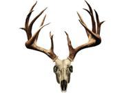 Mossy Oak Graphics Skull Series Whitetail Non Typical Decal