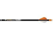 Easton Aftermath 500 Arrows With 2 Blazer Vanes Inserts Loose