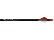 Easton Flatline 500 Arrows With 2 Blazer Vanes And Inserts Loose