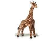 Standing Acacia Giraffe 31 by Aurora