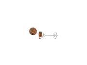 14K White Gold Martini Style Smoky Topaz Stud Earrings with 2.00 CT TGW