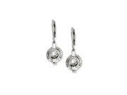 Titanium and CZ Circle Lever Back Earrings