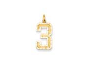 14k Yellow Gold, Varsity Collection, Large D/C Pendant Number 3 14k Yellow Gold, Varsity Collection, Large D/C Pendant Number 3