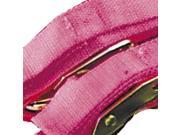 BikeMaster Standard Tiedowns Pink