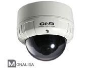 CNB VCM 24VD Outdoor Dome Camera MONALISA 600 TVL 4~9mm Lens Vandal Resistant Dual Mount Dual Power OEM DV252 4VD