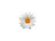 Oxeye Daisy Die Cut Flower Photographic Magnet