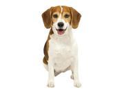 Beagle Dog Die Cut Magnet