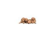 Golden Retriever Puppies Die Cut Photographic Magnet