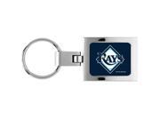 Tampa Bay Devil Rays Domed Metal Keychain
