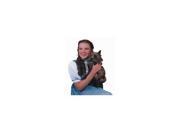 Wizard of Oz Dorothy and Toto Die Cut Photographic Magnet