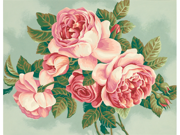 Paint By Number Kit 14 X11 Heirloom Roses