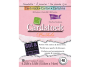 Core dination Core Essential Cardstock 4.25 X5.5 40 Pkg Pastels
