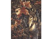 Paint By Number Kit 11 X14 Autumn Wolf